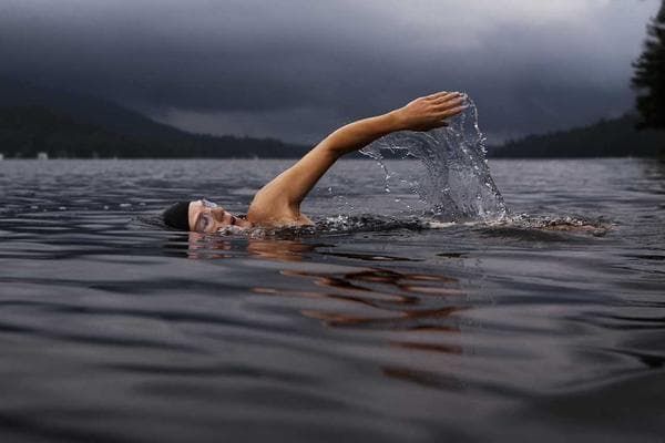 AI Visibility & Automation