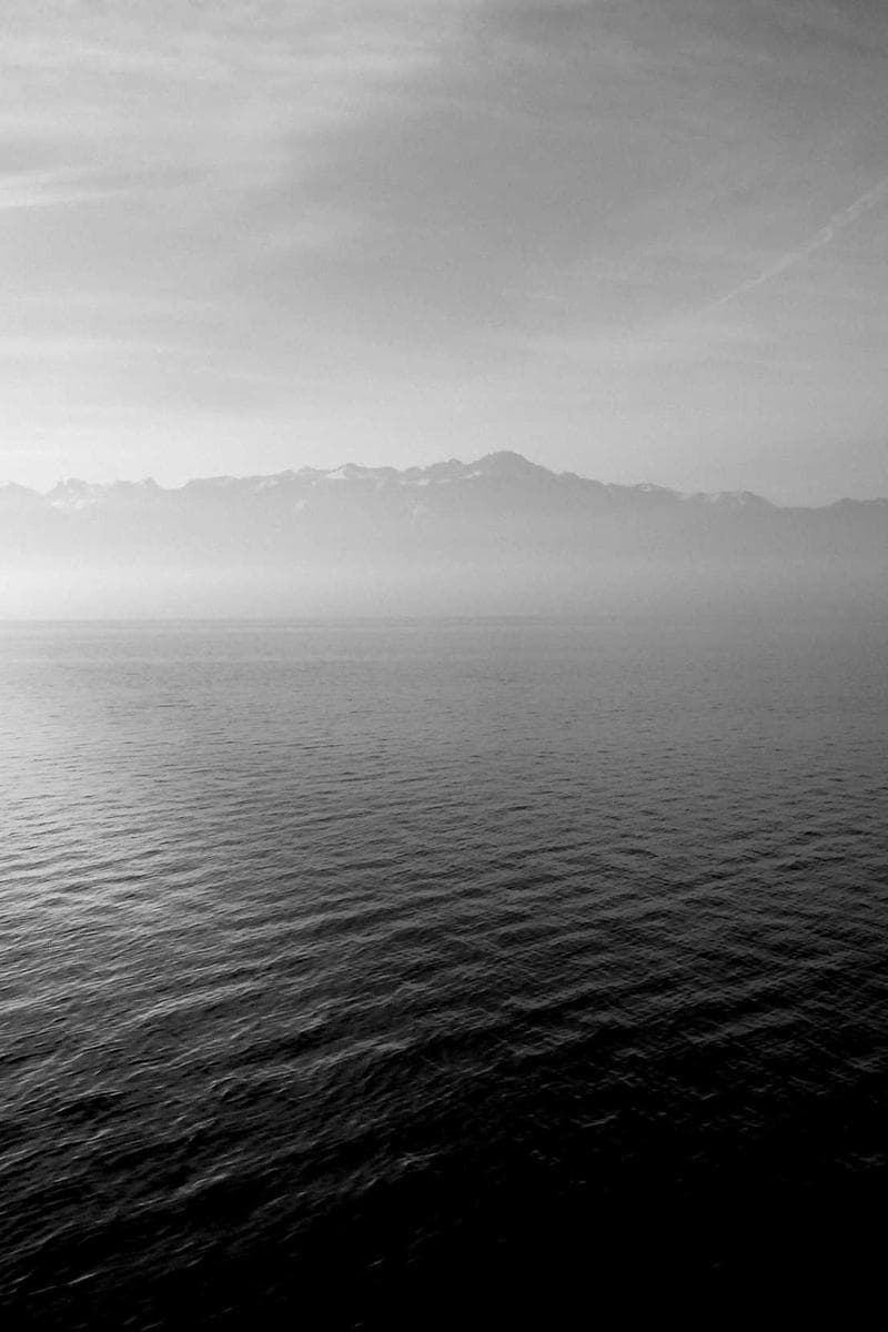 BROG Consulting Team