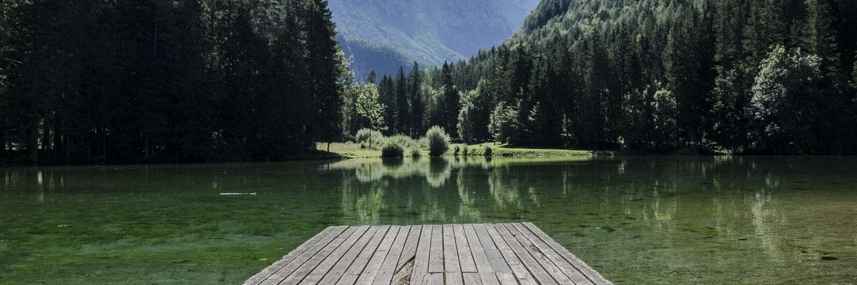 Corporate handshake representing trust and partnership