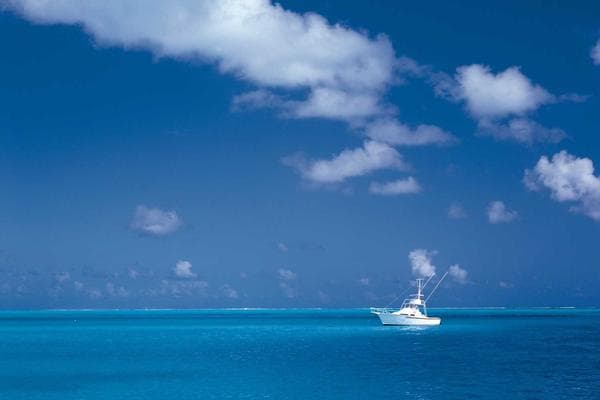 Organic SEO & Content Strategy